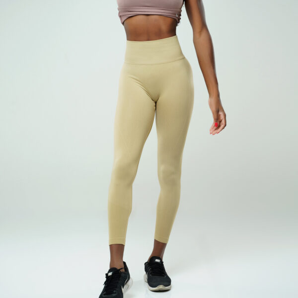 Бесшовные лосины на высокой посадке Пичи Нюдовый